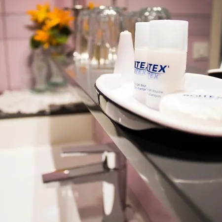 Bed and breakfast Aux Ronzieres