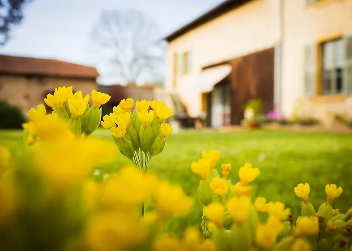 Bed & Breakfast Aux Ronzieres